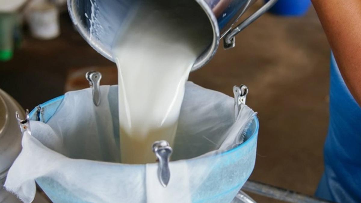 Çiğ süte zam geldi: Üreticiye litre başına 18,35 TL ödenecek 2 cig-sute-zam-geldi-ureticiye-litre-basina-1835-tl-odenecek-CffNzNKP.jpg