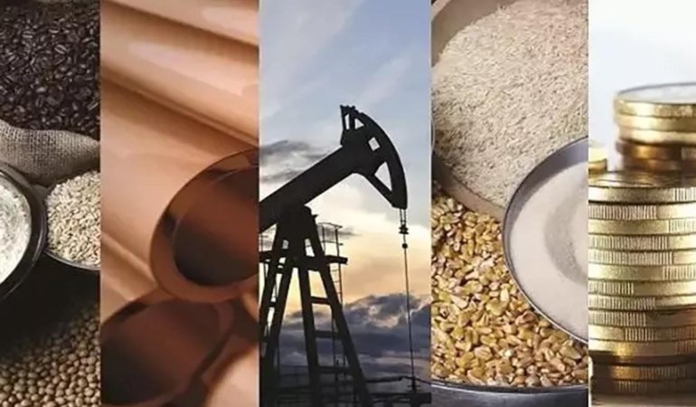 Emtia piyasasında hareketli hafta: Altın, platin ve paladyum yükselirken petrol geriledi 1 emtia-piyasasinda-hareketli-hafta-altin-platin-ve-paladyum-yukselirken-petrol-geriledi-tEOJzm5S.jpg