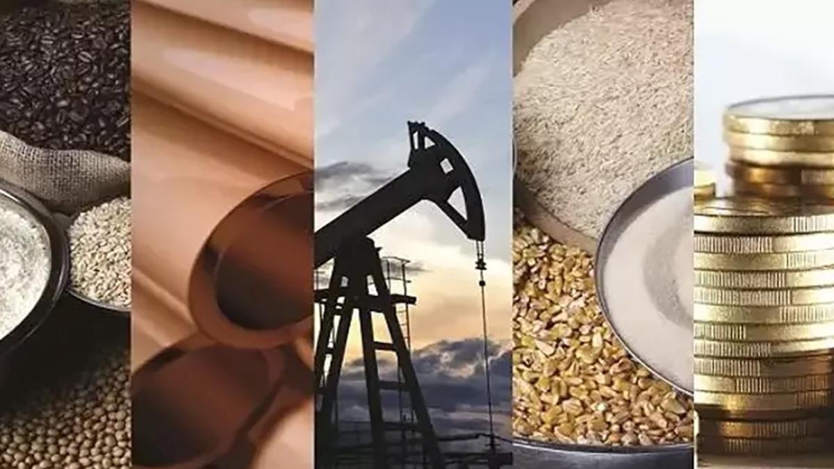 Emtia piyasasında hareketli hafta: Altın, platin ve paladyum yükselirken petrol geriledi 2 emtia-piyasasinda-hareketli-hafta-altin-platin-ve-paladyum-yukselirken-petrol-geriledi-tEOJzm5S.jpg