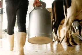 İçme sütü üretimi mayısta sert düştü, TÜİK verileri gerilemeyi ortaya koydu 3 icme-sutu-uretimi-mayista-sert-dustu-tuik-verileri-gerilemeyi-ortaya-koydu-E9t1lkSO.jpg
