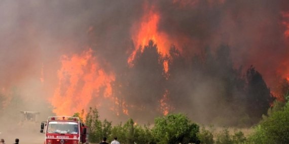 İki Kentte Afet Alarmı! Binlerce Kişi Tahliye Edildi, Hayvan Kayıpları Arttı