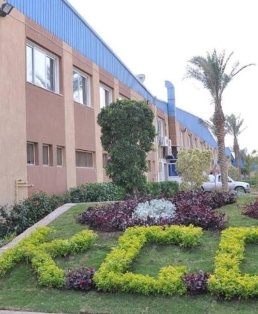 KCG Tekstil'den Mısır’a Dev Hamle! 24 Milyon Dolarlık Yatırımla Yeni Fabrika Kuruluyor 7 kcg-tekstilden-misira-dev-hamle-24-milyon-dolarlik-yatirimla-yeni-fabrika-kuruluyor-ZrGPN7hh.jpg