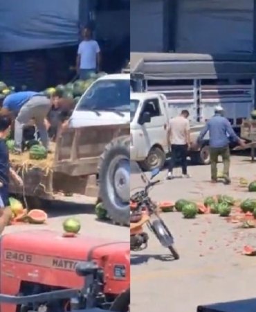 Öfkesine yenilen üreticiye milyonluk ceza kapıda 9 ofkesine-yenilen-ureticiye-milyonluk-ceza-kapida-f4RLFvNQ.jpg