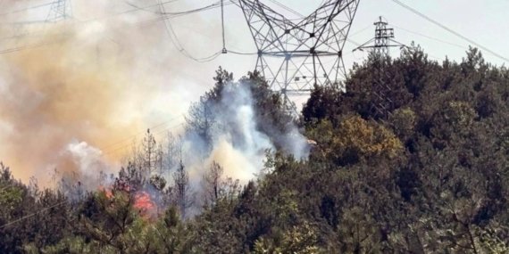 Orman yangını Düzce ile Sakarya’yı alarma geçirdi! Alevlerin kaynağı yüksek gerilim hattı mı?