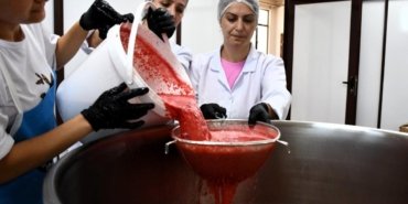 Tarlada Zararına Satılan Karpuz, Pekmeze Dönüşünce 25 Kat Değer Kazandı! 5 tarlada-zararina-satilan-karpuz-pekmeze-donusunce-25-kat-deger-kazandi-jhMeljye.jpg