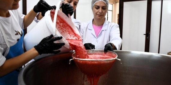 Tarlada Zararına Satılan Karpuz, Pekmeze Dönüşünce 25 Kat Değer Kazandı!