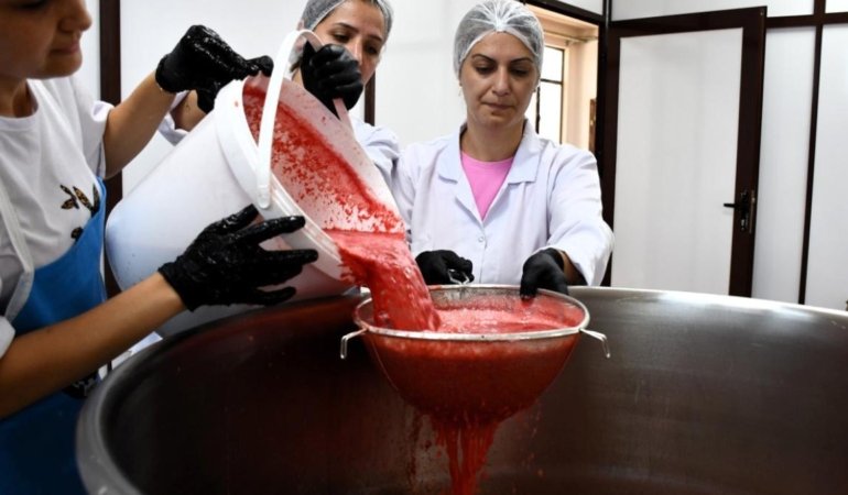 Tarlada Zararına Satılan Karpuz, Pekmeze Dönüşünce 25 Kat Değer Kazandı! 6 tarlada-zararina-satilan-karpuz-pekmeze-donusunce-25-kat-deger-kazandi-jhMeljye.jpg