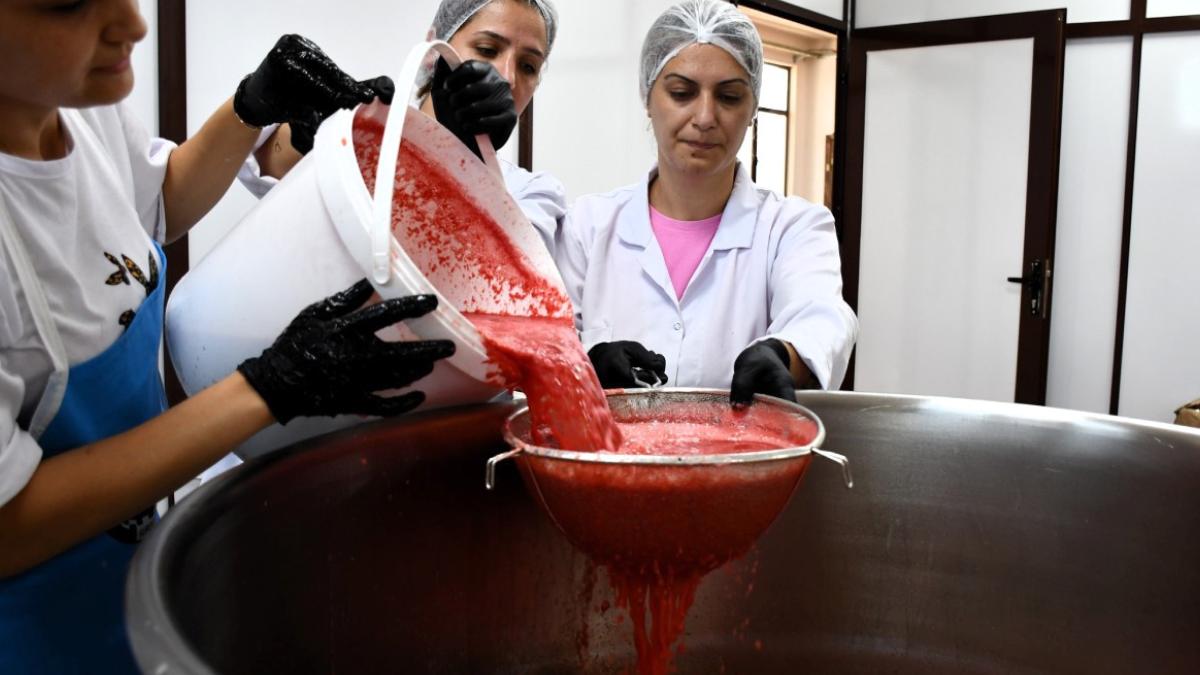 Tarlada Zararına Satılan Karpuz, Pekmeze Dönüşünce 25 Kat Değer Kazandı! 2 tarlada-zararina-satilan-karpuz-pekmeze-donusunce-25-kat-deger-kazandi-jhMeljye.jpg