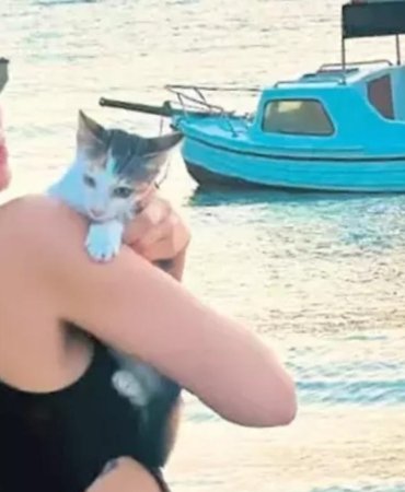 Ünlü oyuncuya kedi yüzünden CİMER şoku! Kapısına zabıta dayandı 8 unlu-oyuncuya-kedi-yuzunden-cimer-soku-kapisina-zabita-dayandi-jG3EXXKL.jpg