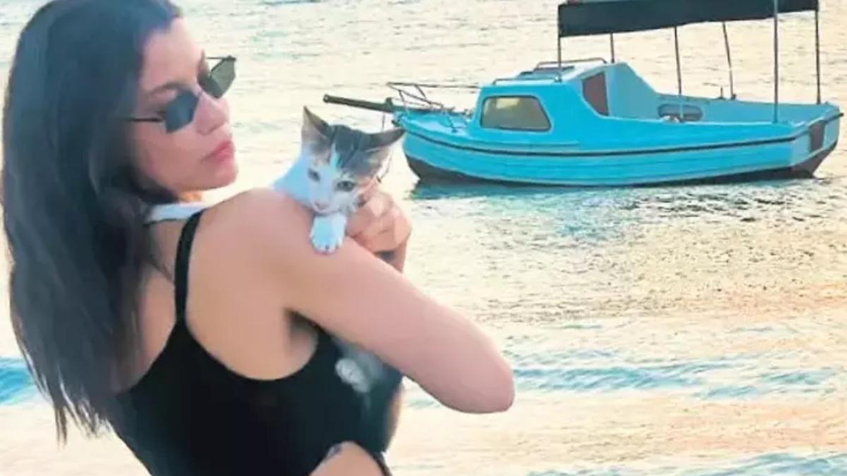 Ünlü oyuncuya kedi yüzünden CİMER şoku! Kapısına zabıta dayandı 2 unlu-oyuncuya-kedi-yuzunden-cimer-soku-kapisina-zabita-dayandi-jG3EXXKL.jpg