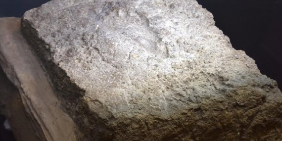 Van’da ilk kez sergilenen 2 bin 900 yıllık kadın ayak izi ziyaretçileri büyülüyor