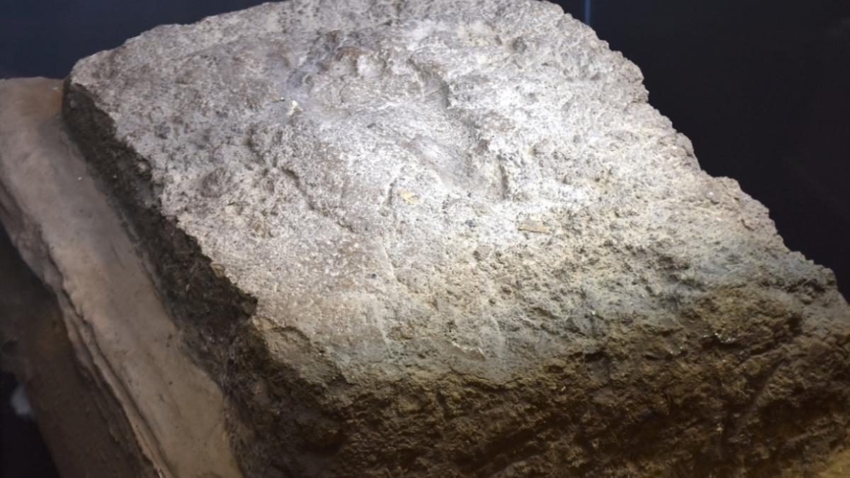 Van’da ilk kez sergilenen 2 bin 900 yıllık kadın ayak izi ziyaretçileri büyülüyor 2 vanda-ilk-kez-sergilenen-2-bin-900-yillik-kadin-ayak-izi-ziyaretcileri-buyuluyor-mbNzuQfJ.jpg