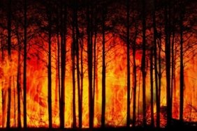 Yangın Dönemlerinde Solunum Şikayetleri Patlama Noktasına Ulaşıyor 6 yangin-donemlerinde-solunum-sikayetleri-patlama-noktasina-ulasiyor-SDqJI9zq.jpg