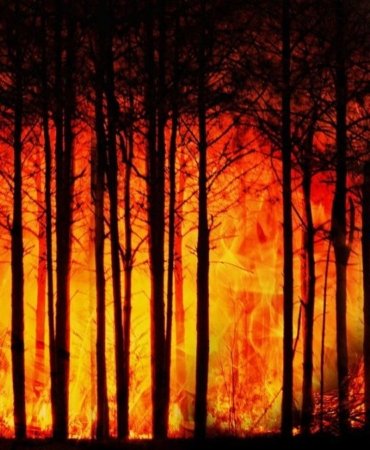 Yangın Dönemlerinde Solunum Şikayetleri Patlama Noktasına Ulaşıyor 5 yangin-donemlerinde-solunum-sikayetleri-patlama-noktasina-ulasiyor-SDqJI9zq.jpg
