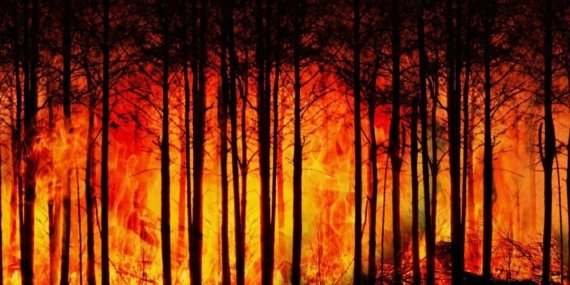 Yangın Dönemlerinde Solunum Şikayetleri Patlama Noktasına Ulaşıyor
