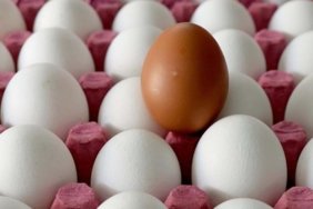 Yumurtada tarihi karar! Son tüketim tarihi kalktı, yerine tavsiye edilen tarih geldi 4 yumurtada-tarihi-karar-son-tuketim-tarihi-kalkti-yerine-tavsiye-edilen-tarih-geldi-twJ8MXdm.jpg