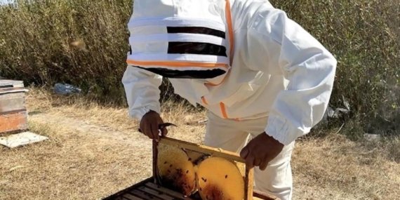 2025’te balın kilogram maliyeti satış fiyatını geçti