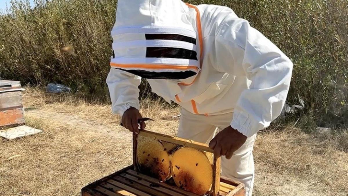 2025’te balın kilogram maliyeti satış fiyatını geçti 2 2025te-balin-kilogram-maliyeti-satis-fiyatini-gecti-4Fe5stzp.jpg