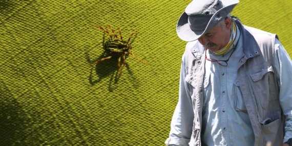 Bu illerde kene ısırığı hayati risk taşıyor