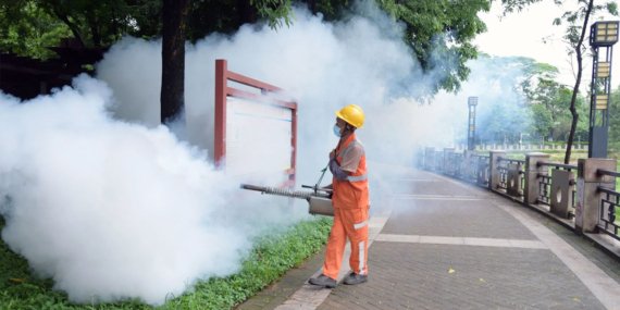 Çin’de Yeni Virüs Alarmı! Chikungunya 13 Şehre Yayıldı