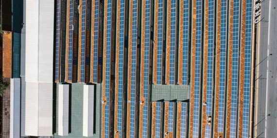 Çin’in Güneş Hücresi İhracatı Rekor Kırdı Panel Satışları Geriledi