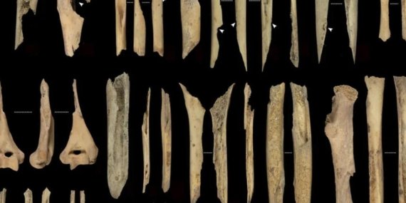 El Mirador Mağarası’nda 5.600 Yıllık Yamyamlık Kanıtı Tüyler Ürperten Keşif