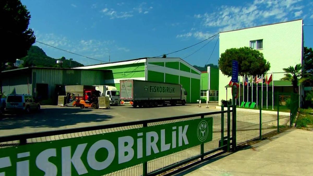 FİSKOBİRLİK fındık alımına başlıyor 11 Ağustos'ta üreticileri bekliyor 2 fiskobirlik-findik-alimina-basliyor-11-agustosta-ureticileri-bekliyor-fWubyRKJ.jpg
