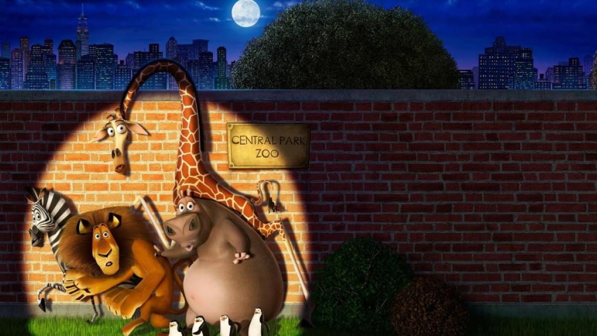 Madagaskar Hatasız Rüya mı, Çarpıcı İddialar mı? Hayran Teorisinin İçinden Geçen Şüpheler 2 madagaskar-hatasiz-ruya-mi-carpici-iddialar-mi-hayran-teorisinin-icinden-gecen-supheler-LfWF3IUS.jpg