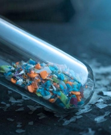 Mikroplastikler insan beynine kadar sızdı: Etkileri neler? 5 mikroplastikler-insan-beynine-kadar-sizdi-etkileri-neler-w7UbjFMB.jpg