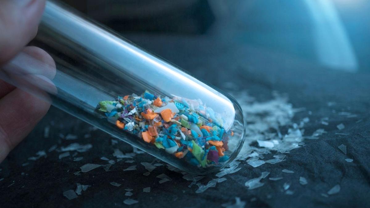 Mikroplastikler insan beynine kadar sızdı: Etkileri neler? 2 mikroplastikler-insan-beynine-kadar-sizdi-etkileri-neler-w7UbjFMB.jpg