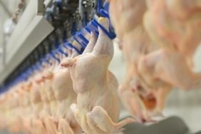 Beyaz Et Sektörüne Rekabet Soruşturması! 8 Şirket İçin Para Cezası İsteniyor 6 beyaz-et-sektorune-rekabet-sorusturmasi-8-sirket-icin-para-cezasi-isteniyor-6qeu1WFg.jpg