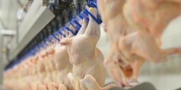 Beyaz Et Sektörüne Rekabet Soruşturması! 8 Şirket İçin Para Cezası İsteniyor 10 beyaz-et-sektorune-rekabet-sorusturmasi-8-sirket-icin-para-cezasi-isteniyor-6qeu1WFg.jpg