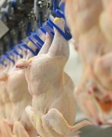 beyaz-et-sektorune-rekabet-sorusturmasi-8-sirket-icin-para-cezasi-isteniyor-6qeu1WFg.jpg