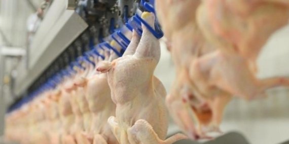Beyaz Et Sektörüne Rekabet Soruşturması! 8 Şirket İçin Para Cezası İsteniyor