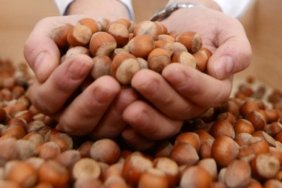 Fındık İhracatından Rekor Gelir! Türkiye, 124 Ülkeye 2,5 Milyar Dolarlık Fındık Sattı 1 findik-ihracatindan-rekor-gelir-turkiye-124-ulkeye-25-milyar-dolarlik-findik-satti-UW4rhXxv.jpg