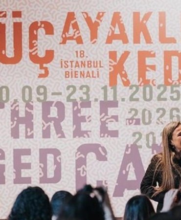 istanbul-bienalinin-18-yilinda-8-mekanda-zaman-ve-mekan-ic-ice-uc-ayakli-kedi-VGh8xcVa.jpg