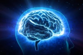 Karar Anı Görüntülendi! Bilim İnsanları Beynin Çalışma Prensibini Çözdü mü? 6 karar-ani-goruntulendi-bilim-insanlari-beynin-calisma-prensibini-cozdu-mu-2YJawUvg.jpg