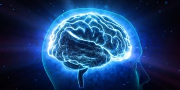 Karar Anı Görüntülendi! Bilim İnsanları Beynin Çalışma Prensibini Çözdü mü? 6 karar-ani-goruntulendi-bilim-insanlari-beynin-calisma-prensibini-cozdu-mu-2YJawUvg.jpg