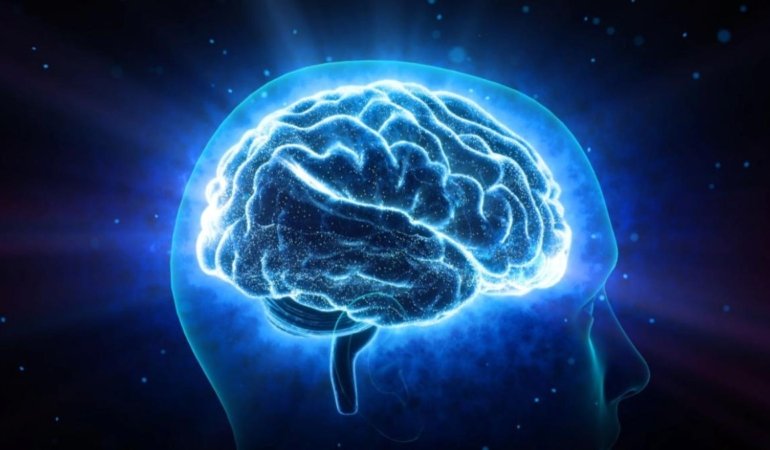 Karar Anı Görüntülendi! Bilim İnsanları Beynin Çalışma Prensibini Çözdü mü? 6 karar-ani-goruntulendi-bilim-insanlari-beynin-calisma-prensibini-cozdu-mu-2YJawUvg.jpg