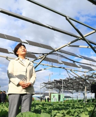 Güney Kore tarım arazilerinde güneş enerjisi devrimi başlatıyor 7 guney-kore-tarim-arazilerinde-gunes-enerjisi-devrimi-baslatiyor-TC6XWsZU.jpg