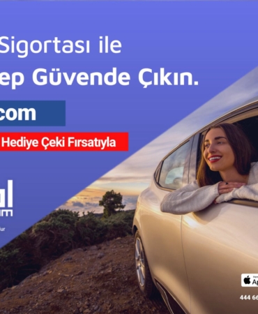 dijipol-kasko