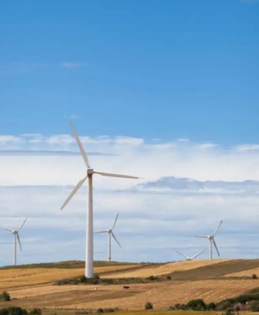 Mısır dev rüzgar enerjisi santralini satışa çıkarıyor 8 misir-dev-ruzgar-enerjisi-santralini-satisa-cikariyor-4pxK2CxA.jpg
