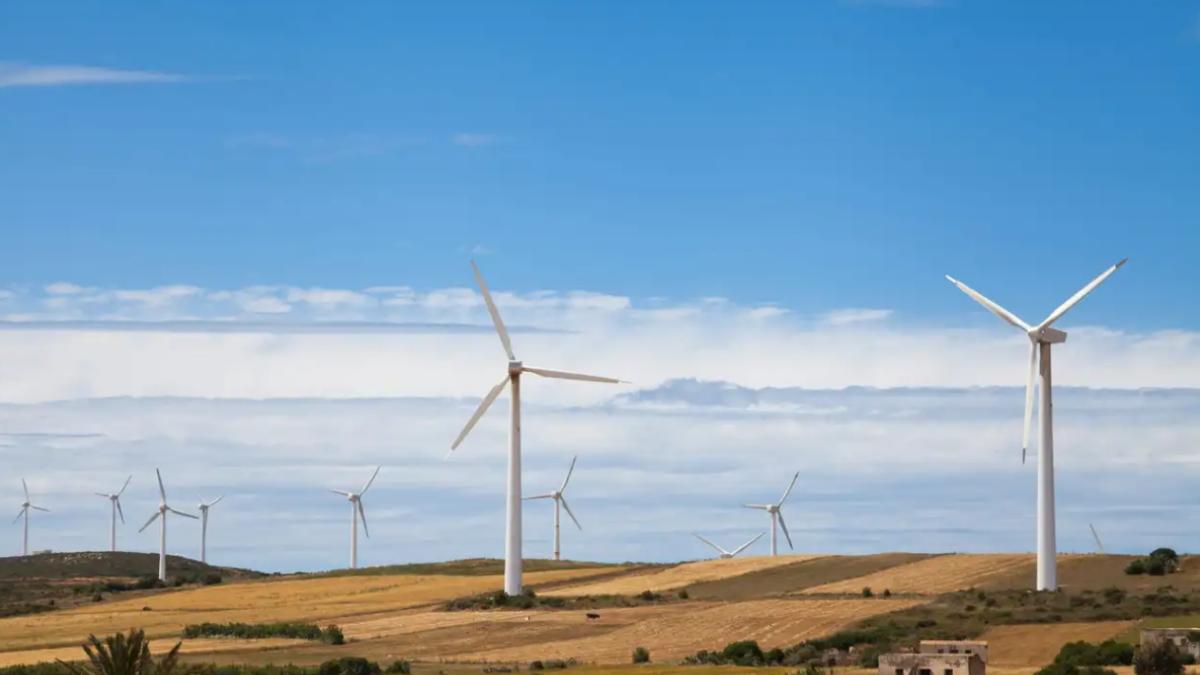Mısır dev rüzgar enerjisi santralini satışa çıkarıyor 2 misir-dev-ruzgar-enerjisi-santralini-satisa-cikariyor-4pxK2CxA.jpg