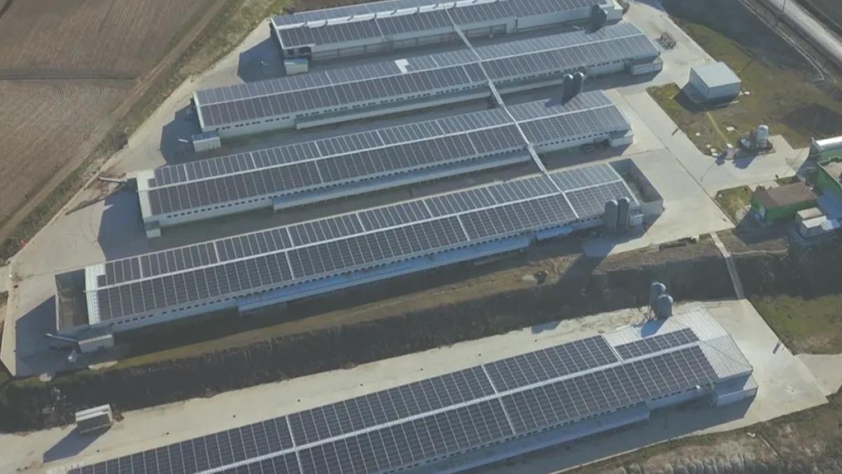 Keskinoğlu sürdürülebilir üretimde GES yatırımıyla enerjisinin yüzde 20’sini güneşten karşılıyor 2 keskinoglu-surdurulebilir-uretimde-ges-yatirimiyla-enerjisinin-yuzde-20sini-gunesten-karsiliyor-npHF4OHw.jpg