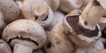 Türkiye’de Beyaz Düğme Mantarı Özünün Prostat Kanseri Üzerine Etkileri: Yeni Bulgular ve Umutlar 8 turkiyede-beyaz-dugme-mantari-ozunun-prostat-kanseri-uzerine-etkileri-yeni-bulgular-ve-umutlar-bEQB92jL.jpg