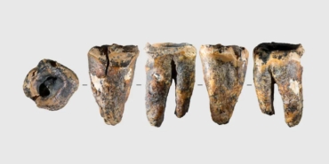 59 Bin Yıllık Diş Keşfi Neandertaller Hakkındaki Tüm Bildiklerimizi Değiştirdi 6 59-bin-yillik-dis-kesfi-neandertaller-hakkindaki-tum-bildiklerimizi-degistirdi-ACKwWItb.jpg