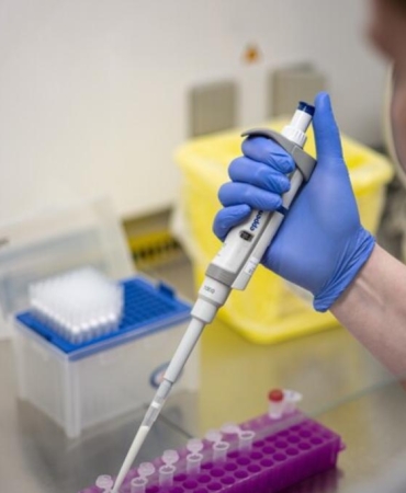Hantavirüs Konusunda Türkiye’nin İzlediği Yaklaşım ve Sağlık Sisteminin Güçlü Yapısı 3 hantavirus-konusunda-turkiyenin-izledigi-yaklasim-ve-saglik-sisteminin-guclu-yapisi-46quwV8T.jpg