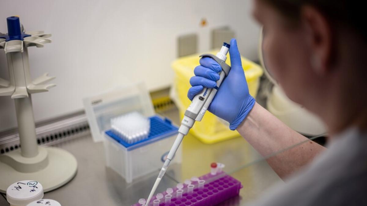 Hantavirüs Konusunda Türkiye’nin İzlediği Yaklaşım ve Sağlık Sisteminin Güçlü Yapısı 2 hantavirus-konusunda-turkiyenin-izledigi-yaklasim-ve-saglik-sisteminin-guclu-yapisi-46quwV8T.jpg