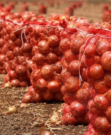 kuru-sogan-ithalatinda-gumruk-vergisi-gecici-olarak-yuzde-5e-dusuruldu-tTTdXFX8.jpg