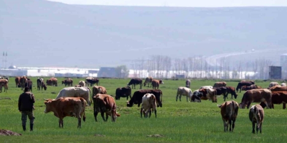 Erzurum’da 329 Tarım Projesine 171 Milyon TL Hibe Desteği